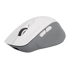 Wireless Gaming Mouse Delux M729DB BT+2.4G 16000DPI (white) цена и информация | Мыши | kaup24.ee