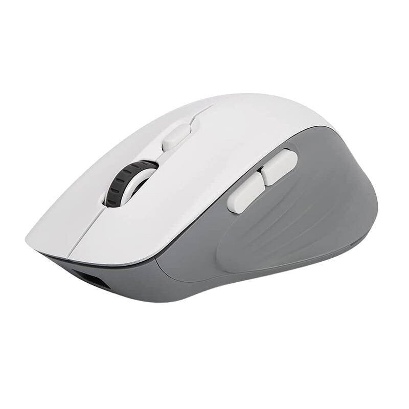 Wireless Gaming Mouse Delux M729DB BT+2.4G 16000DPI (white) hind ja info | Hiired | kaup24.ee