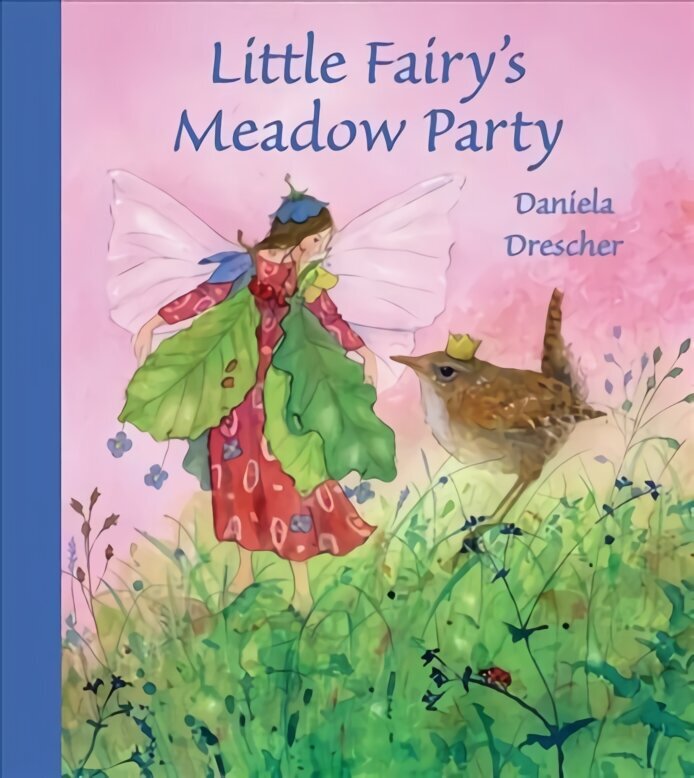 Little Fairy's Meadow Party hind ja info | Väikelaste raamatud | kaup24.ee