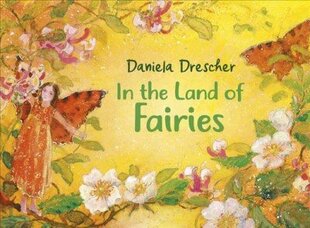 In the Land of Fairies 3rd Revised edition hind ja info | Väikelaste raamatud | kaup24.ee