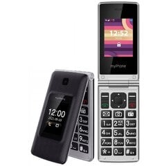 MyPhone Tango LTE, Dual SIM, black/silver цена и информация | Мобильные телефоны | kaup24.ee