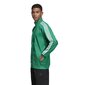 Džemper adidas performance tiro19 tr jkt dw4794 hind ja info | Meeste pusad | kaup24.ee