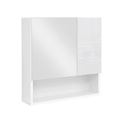 VASAGLE peegel vannitoakapp BBK122W01 цена и информация | Шкафчики для ванной | kaup24.ee
