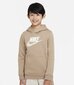 Nike laste dressipluus Sportswear Club CJ7861*247, beež 195871715198 цена и информация | Poiste kampsunid, vestid ja jakid | kaup24.ee