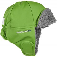 Laste müts Didriksons Biggles, roheline цена и информация | Зимняя одежда для детей | kaup24.ee