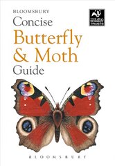 Concise Butterfly and Moth Guide цена и информация | Энциклопедии, справочники | kaup24.ee