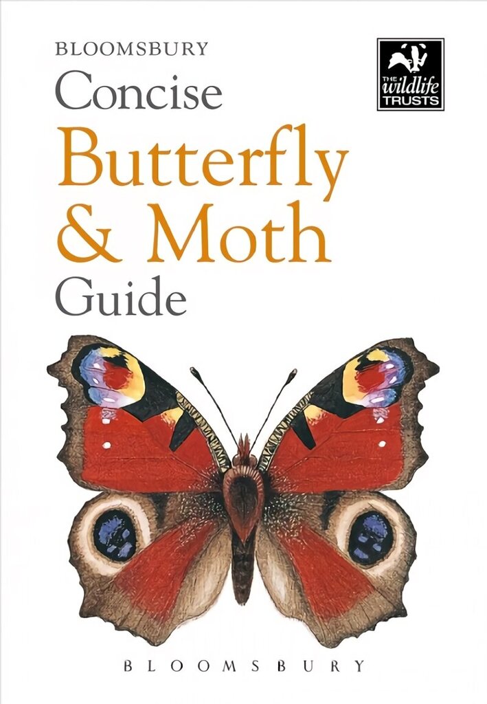 Concise Butterfly and Moth Guide цена и информация | Entsüklopeediad, teatmeteosed | kaup24.ee