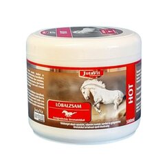 Kehakreem Horse Balm Hot 500ml цена и информация | Мази, бальзамы | kaup24.ee