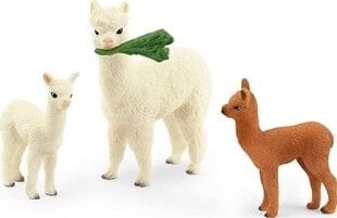 Статуэтка Alpaka Schleich цена и информация | Развивающие игрушки и игры | kaup24.ee