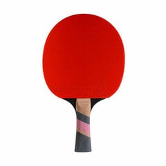 Conrilleau Excell Carbon 3000 table tennis bats цена и информация | Ракетки для настольного тенниса, чехлы и наборы | kaup24.ee