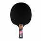 Conrilleau Excell Carbon 3000 table tennis bats hind ja info | Lautennise reketid ja reketi kotid | kaup24.ee