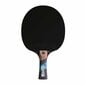 Excell 1000 Cornilleau table tennis racket hind ja info | Lautennise reketid ja reketi kotid | kaup24.ee