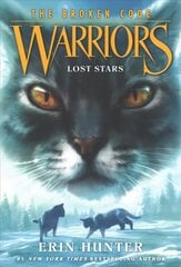 Warriors: The Broken Code #1: Lost Stars цена и информация | Книги для подростков и молодежи | kaup24.ee