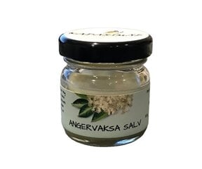 Angervaksa salv hind ja info | Kehakreemid, kehaspreid | kaup24.ee