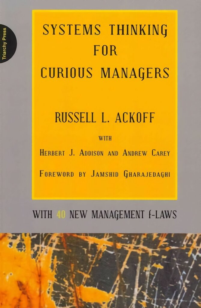 Systems Thinking for Curious Managers: With 40 New Management F-Laws hind ja info | Majandusalased raamatud | kaup24.ee