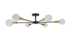 Lamp Spider 6 Black Gold APP501-6C hind ja info | Rippvalgustid | kaup24.ee