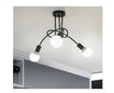 Paradise 3 Hall lamp цена и информация | Rippvalgustid | kaup24.ee