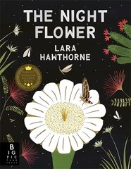 Night Flower цена и информация | Книги для малышей | kaup24.ee