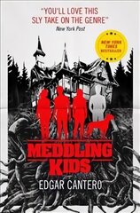 Meddling Kids hind ja info | Fantaasia, müstika | kaup24.ee