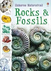 Rocks and Fossils: Rocks and Fossils New edition hind ja info | Noortekirjandus | kaup24.ee