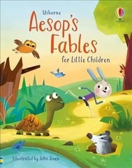 Aesop's Fables for Little Children цена и информация | Книги для подростков и молодежи | kaup24.ee