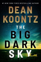 Big Dark Sky цена и информация | Фантастика, фэнтези | kaup24.ee