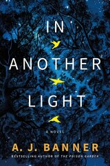 In Another Light: A Novel hind ja info | Fantaasia, müstika | kaup24.ee