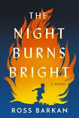 Night Burns Bright: A Novel цена и информация | Фантастика, фэнтези | kaup24.ee