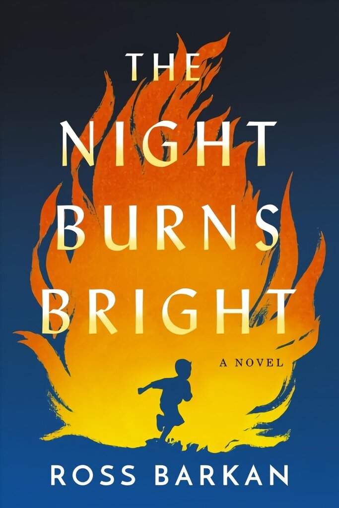 Night Burns Bright: A Novel hind ja info | Fantaasia, müstika | kaup24.ee
