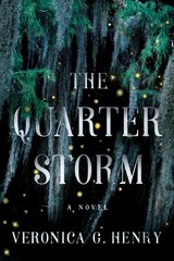 Quarter Storm: A Novel hind ja info | Fantaasia, müstika | kaup24.ee