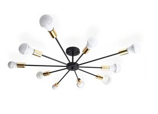 Lamp Spider 10 Black Gold APP503-10C цена и информация | Люстры | kaup24.ee