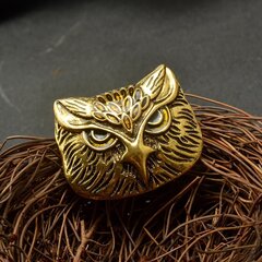 Pross Bronze owl цена и информация | Броши | kaup24.ee