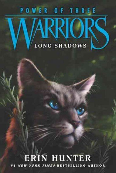 Warriors: Power of Three #5: Long Shadows цена и информация | Noortekirjandus | kaup24.ee