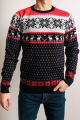 Рождественский джемпер для мужчин R756 цена и информация | Мужские свитера | kaup24.ee