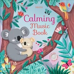 Calming Music Book цена и информация | Книги для малышей | kaup24.ee