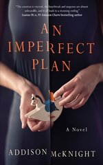 Imperfect Plan: A Novel цена и информация | Фантастика, фэнтези | kaup24.ee