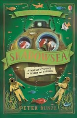 Shadowsea цена и информация | Книги для подростков и молодежи | kaup24.ee