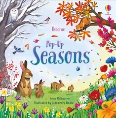 Pop-Up Seasons hind ja info | Väikelaste raamatud | kaup24.ee