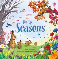 Pop-Up Seasons цена и информация | Книги для малышей | kaup24.ee