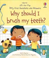 Very First Questions and Answers Why Should I Brush My Teeth? hind ja info | Väikelaste raamatud | kaup24.ee
