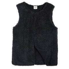 Cool Club vest tüdrukutele, CCG2522902 цена и информация | Свитеры, жилетки, пиджаки для девочек | kaup24.ee