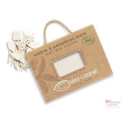 Lauvärv Couleur Caramel 2.5 g, N026 White цена и информация | Тушь, средства для роста ресниц, тени для век, карандаши для глаз | kaup24.ee