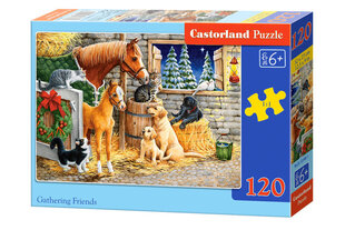 Castorland Gathering Friends Puzzle, 120 tükki цена и информация | Пазлы | kaup24.ee