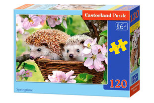 Пазл Castorland Springtime Puzzle, 120 деталей цена и информация | Пазлы | kaup24.ee