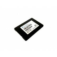 V7 V7SSD240GBM2SE 2000GB 2,5" hind ja info | Sisemised kõvakettad (HDD, SSD, Hybrid) | kaup24.ee