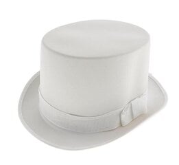 Шляпа - цилиндр (CBIGL-YH) 2823 цена и информация | Карнавальные костюмы | kaup24.ee