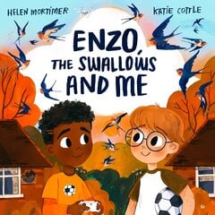 Enzo, The Swallows and Me hind ja info | Väikelaste raamatud | kaup24.ee