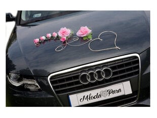 Auto dekoratsioon Ala, roosa hind ja info | Peokaunistused | kaup24.ee