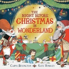 Night Before Christmas in Wonderland цена и информация | Книги для малышей | kaup24.ee