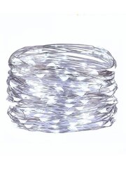 Штора-гирлянда Silverwire, 100 LED цена и информация | Гирлянды | kaup24.ee